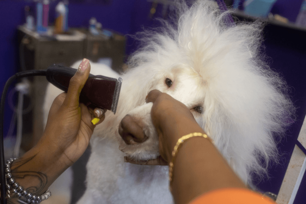 Grooming background 2