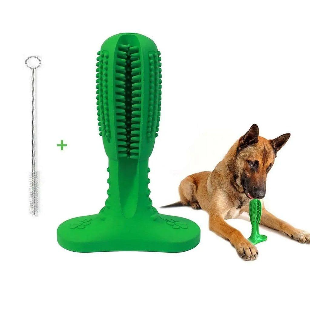 Rubber Tooth Brush Large