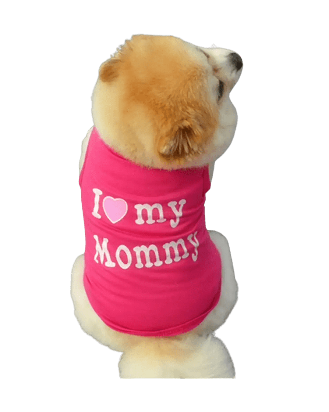 Dog Summer Vest T-shirt