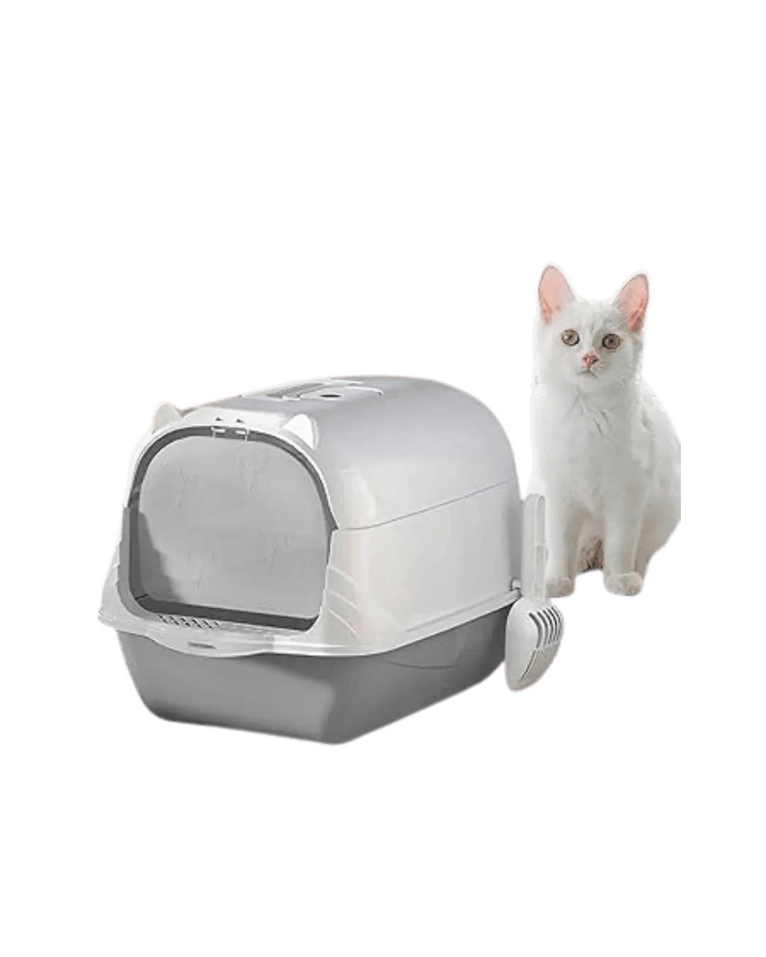 Round Covered With Ear Shape