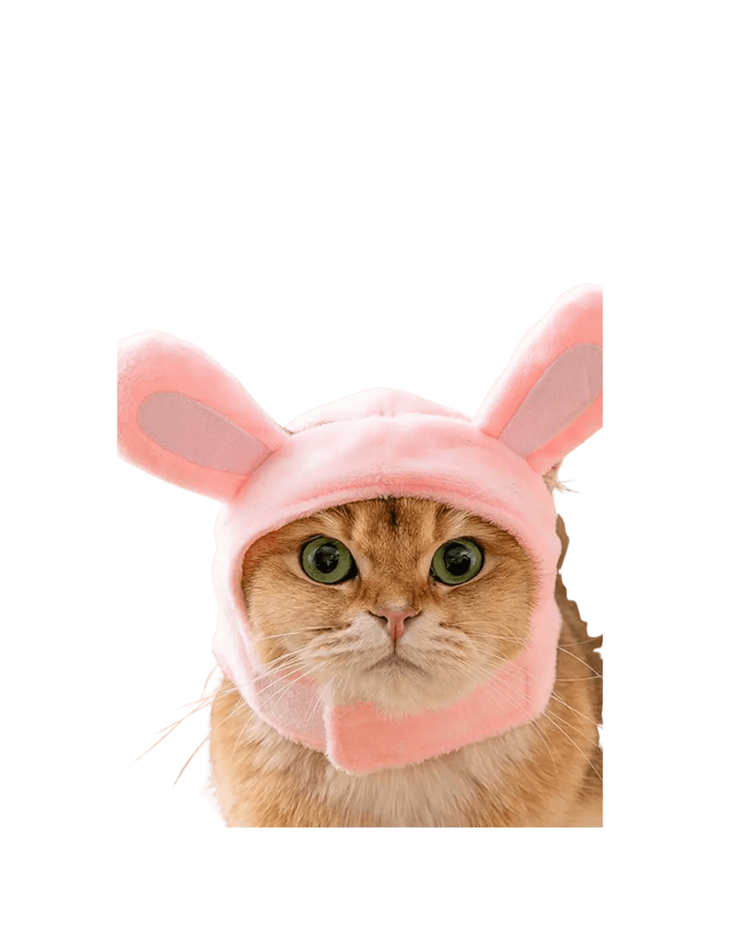 Cat Head Warmer S,M,L