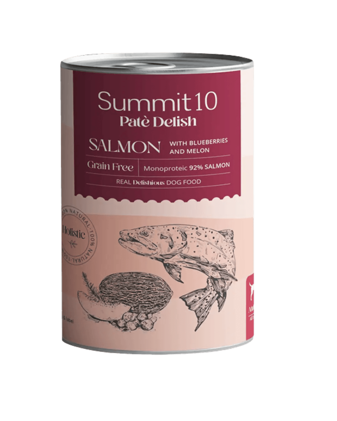 Summit 10 Pate Delish with Salmon 400g