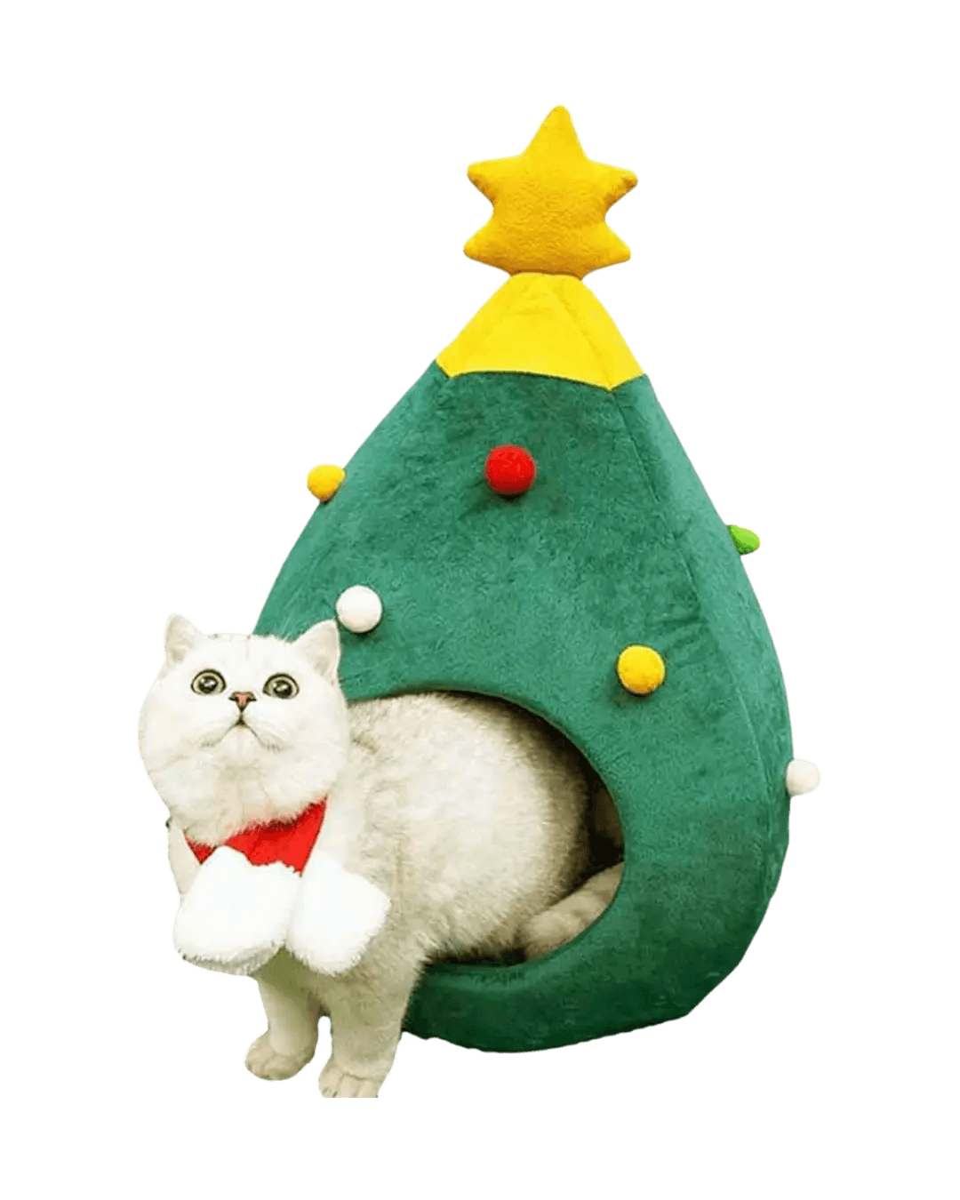 Cat Xmas House S
