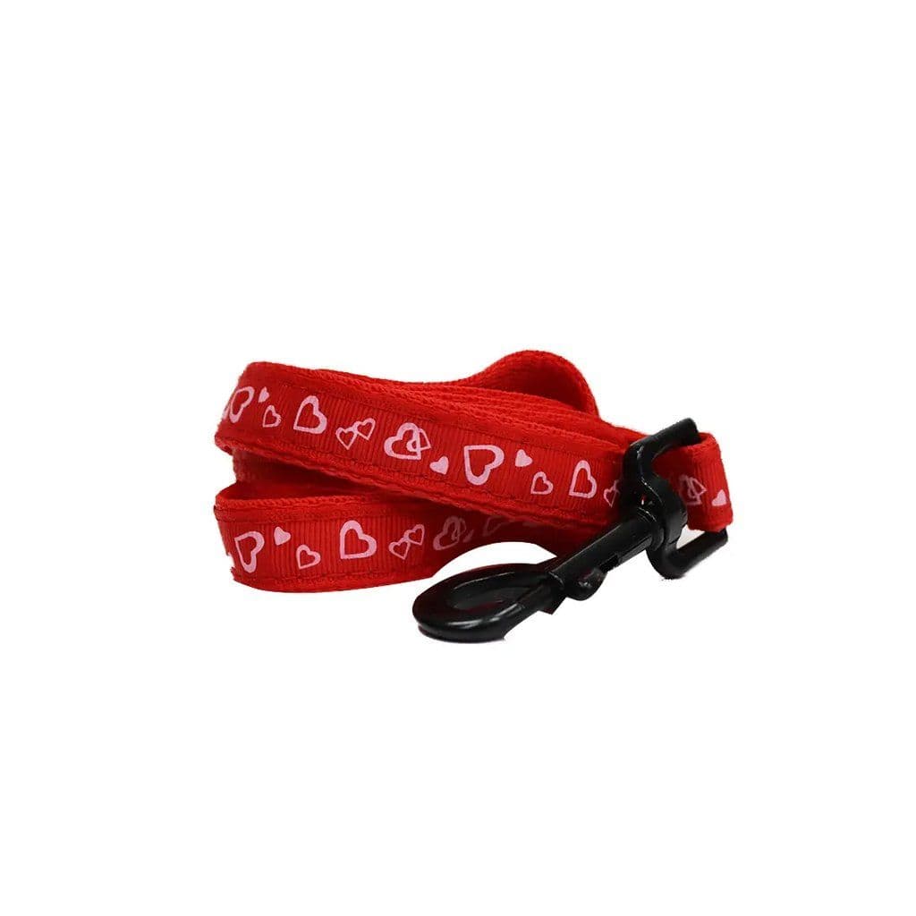 Nylon Printed Leash and Harness Small