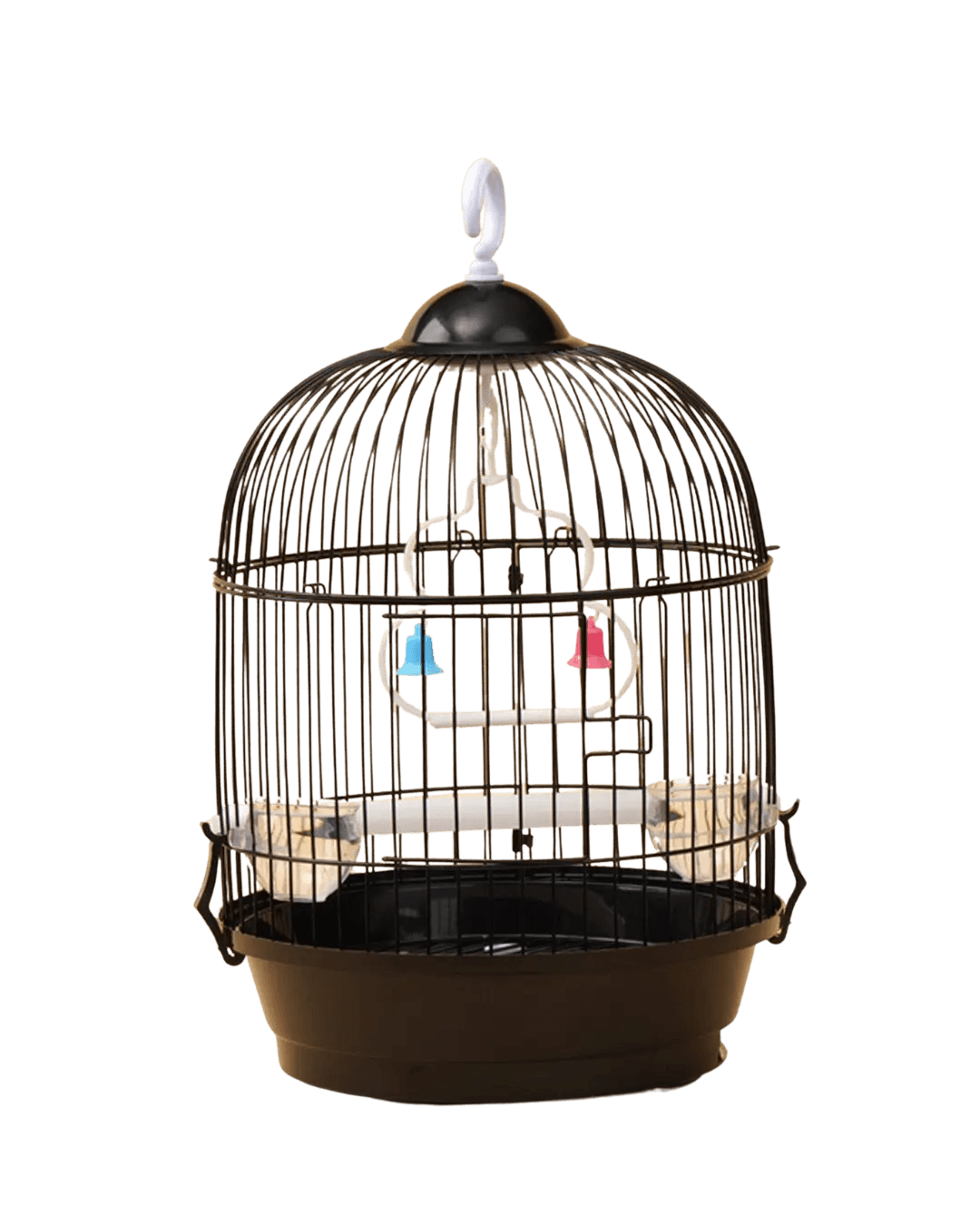 Bird Cage S