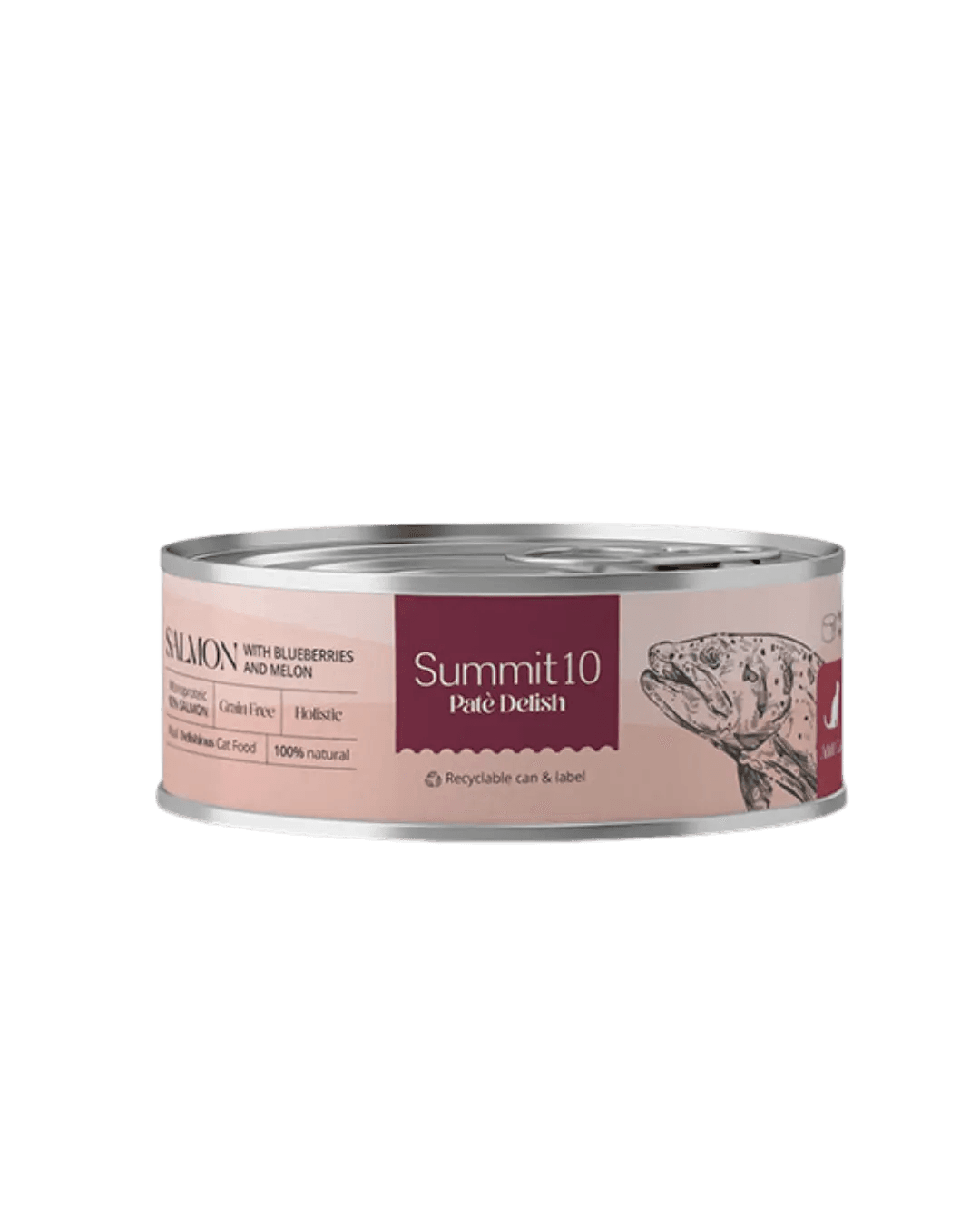 Summit 10 Pate Delish With Salmon 85g