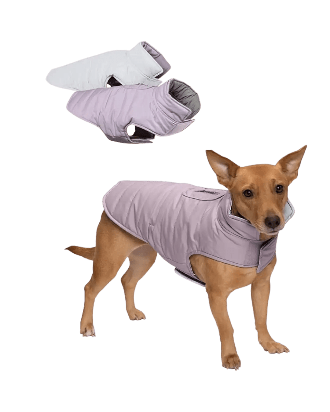 Pet Immune Puffer Jacket
