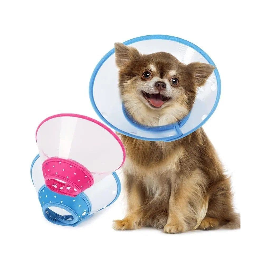 Plastic Elizabeth Collar L