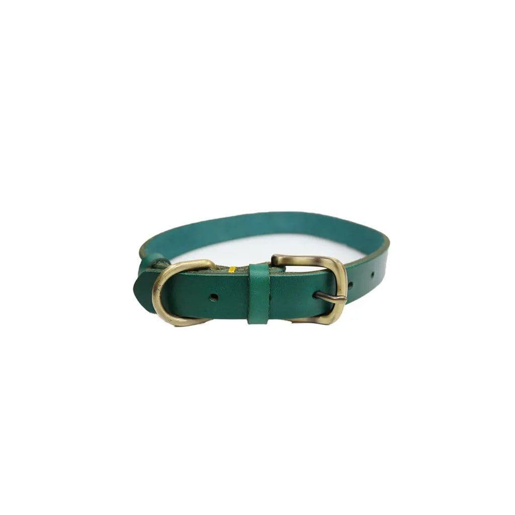 Green Collar Large