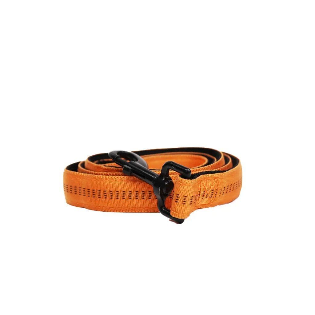 Soft Grip Leash and Harness Large