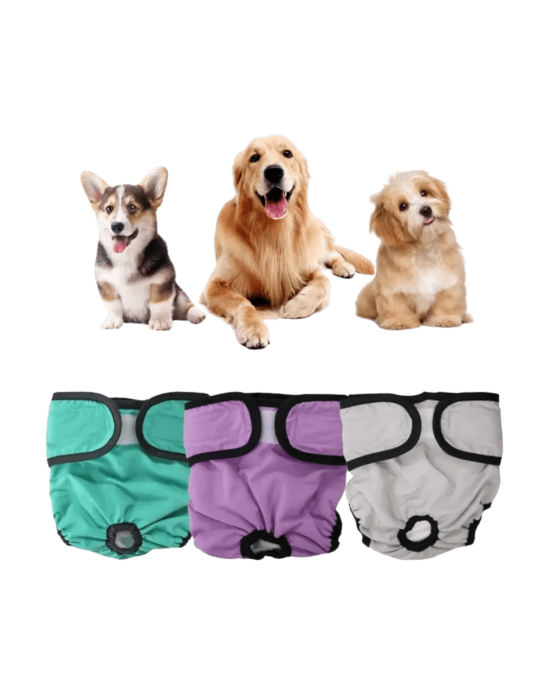 Female Pet Panties M,L,XL