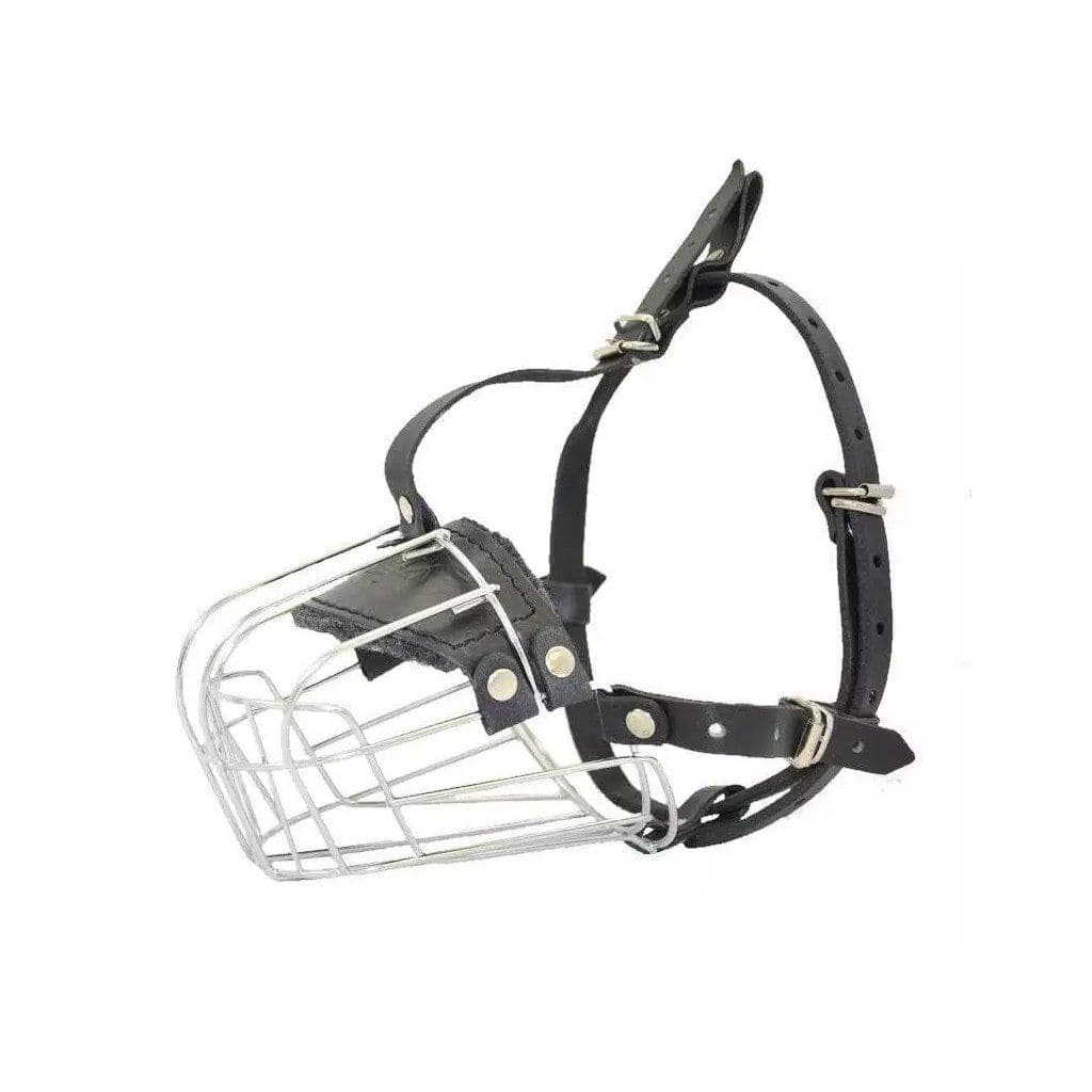 Stainless Steel Muzzle L