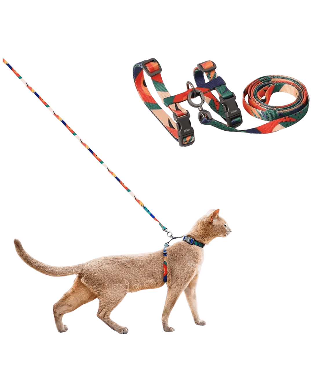 Pidan Multcolor Cat Harness & Leash