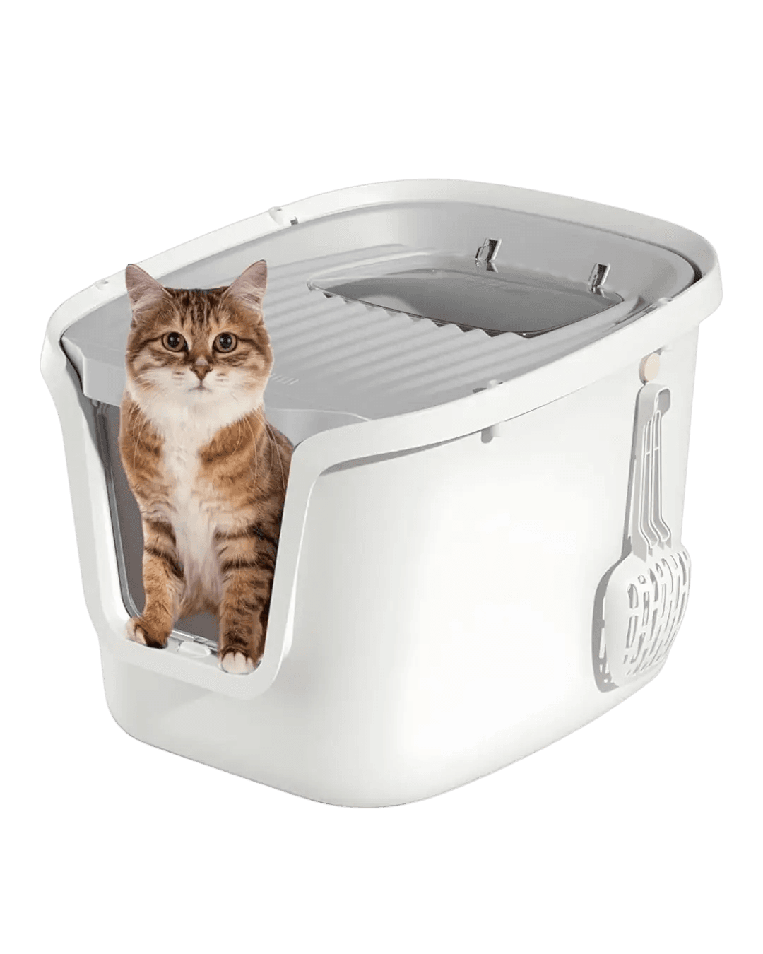 Enclosed Litter Box