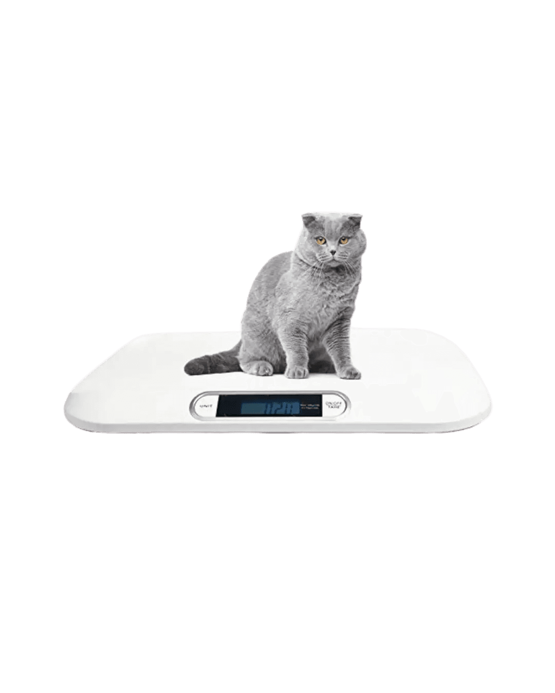 Cat Weighing Scale