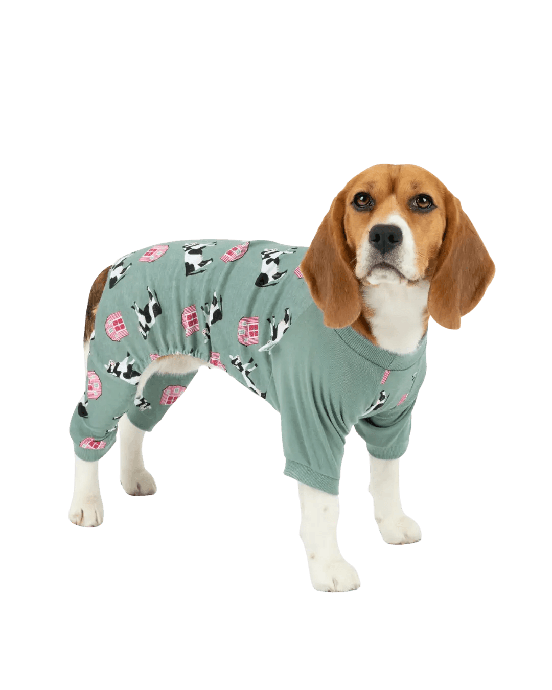 Dog Pajama